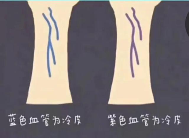 怎么判断自己是什么皮肤，如何判断自己的皮肤类型（通过血管的颜色来判断皮肤的冷暖色）