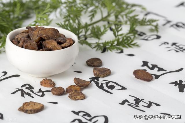 纹股蓝的功效与作用，讲一味小小的绞股蓝