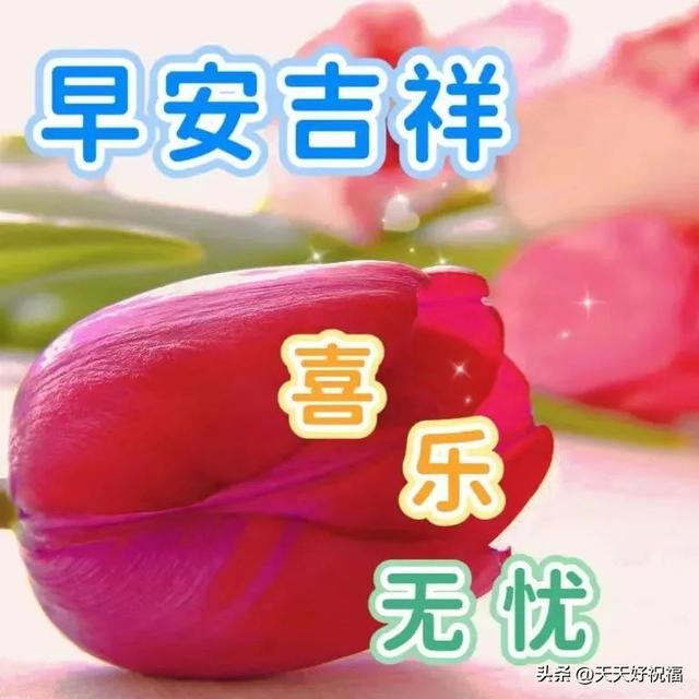 美好祝愿的图片，美好祝愿的文艺句子图片文字（2023最美早安问候祝福语图片大全带字温馨）