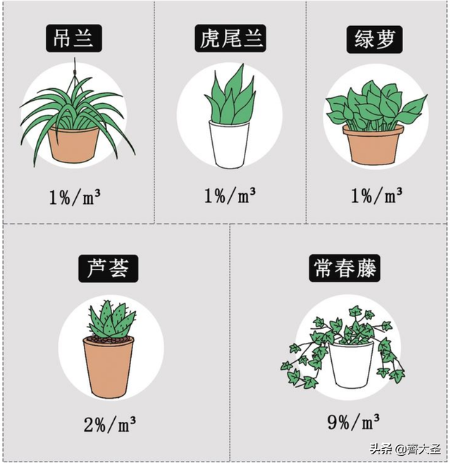 白醋可以去甲醛吗，白醋快速除甲醛的方法（这3个不靠谱的除醛方法可别再用了）