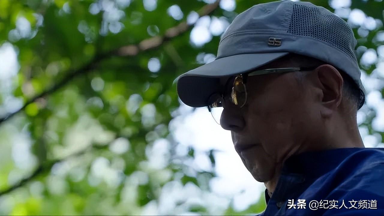 我到新疆去(我到新疆去挑战文本内容)