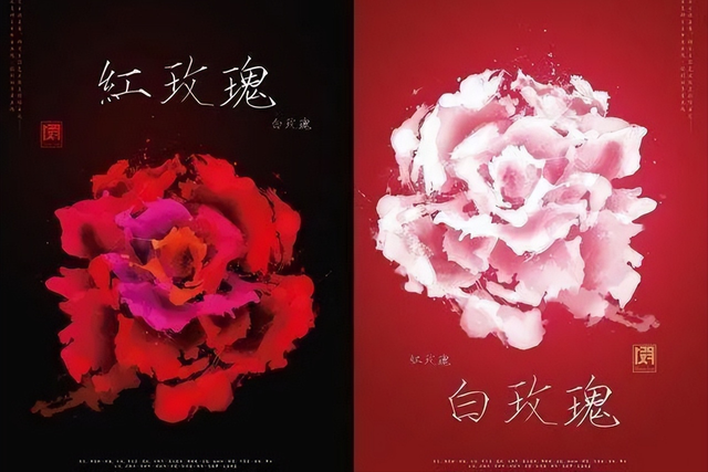 白玫瑰与红玫瑰，白玫瑰和红玫瑰的区别（《红玫瑰与白玫瑰》）