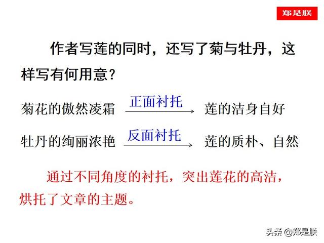 爱莲说原文朗读，爱莲说拼音版原文（部编人教版七年级语文下第17课《爱莲说》周敦颐-诵读+课件）