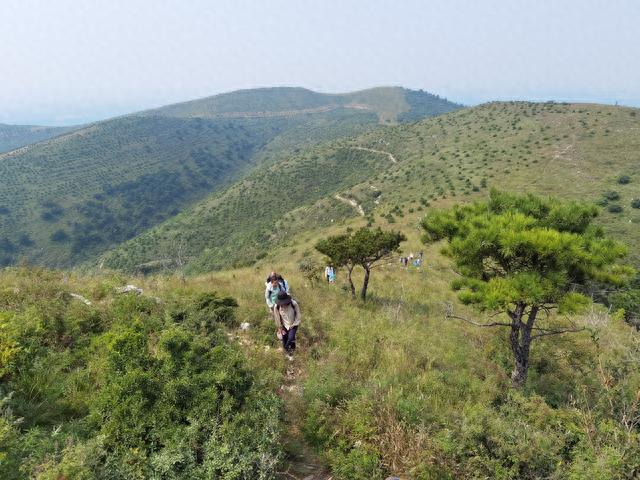 青龙山——徒步青龙山采松蘑、识昆虫、掰玉米