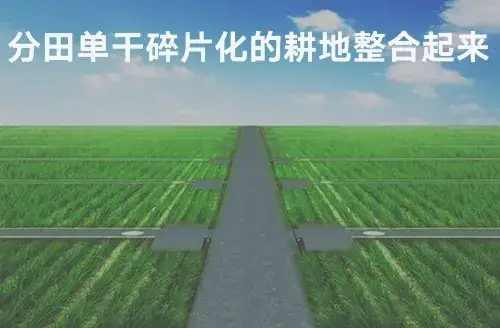 每个人必须为乡村振兴献一计，你会提出什么建议？