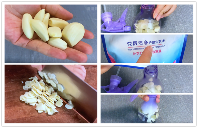 灭蟑螂最有效的土方法，消灭蟑螂最好的土办法（教你用一把大蒜）