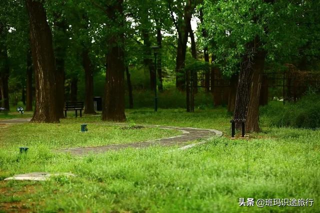 南京什么山最好玩，南京有哪些山值得一去（必游南京这座大山）