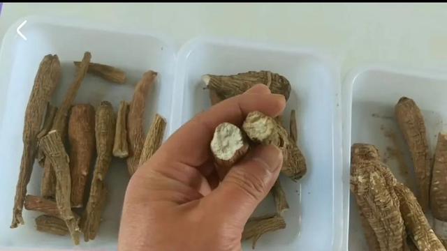 白芷是什么调料，白芷，香料界的斜杠青年