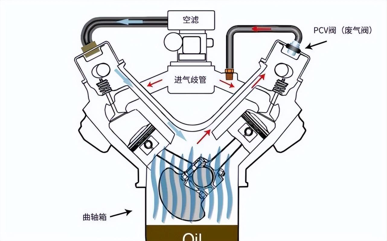 洗一次车多少钱(附近10元快速洗车)