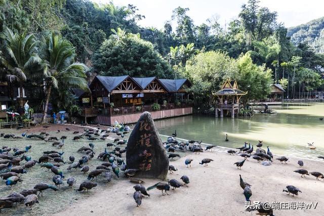云南好玩的地方，去云南哪里比较好玩（云南十个推荐的旅游景点）