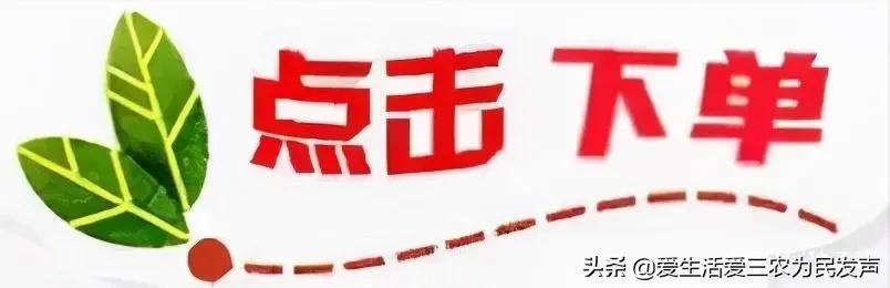 0个偏门暴利赚钱项目(十大偏门赚钱项目)"
