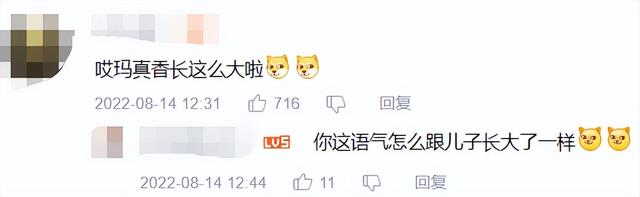 b站怎么了，b站怎么了夏日祭（B站，开始转型了）