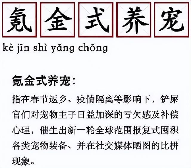 适合学生养的狗，学生党适合养什么狗（你的宝贝上榜了吗）