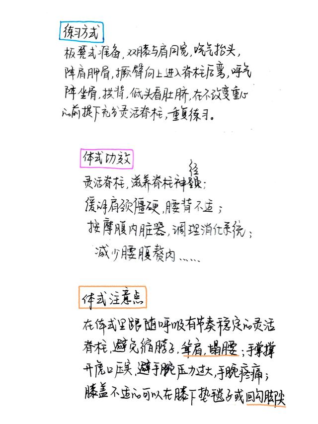 简单的牛怎么画，学习简单画牛的方法（极简画瑜伽体式08——猫牛式）