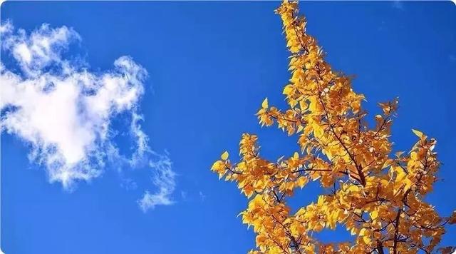 二十四节气 秋天，秋分