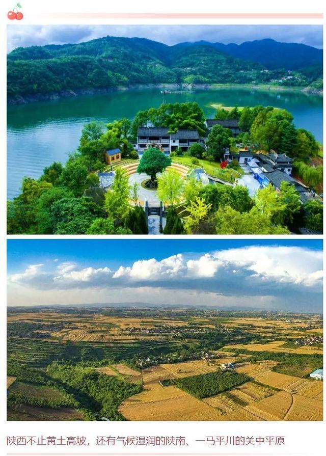 西安有哪些特色水果，陕西特色水果（水果在西安也有“盛唐气象”）