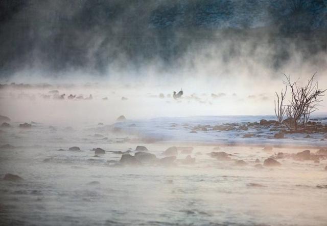 灵魂伴侣的真正含义，灵魂伴侣是什么意思（才能叫做“灵魂伴侣”）