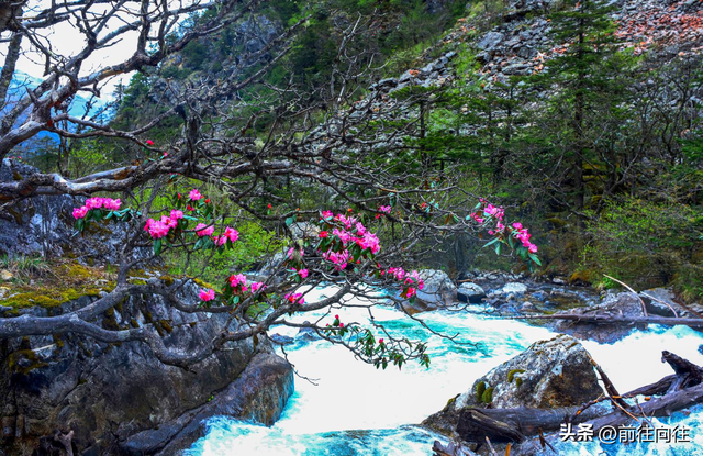 墨石公园属于哪个县城，墨石公园简介（必驾木格措墨石公园圣地理塘）