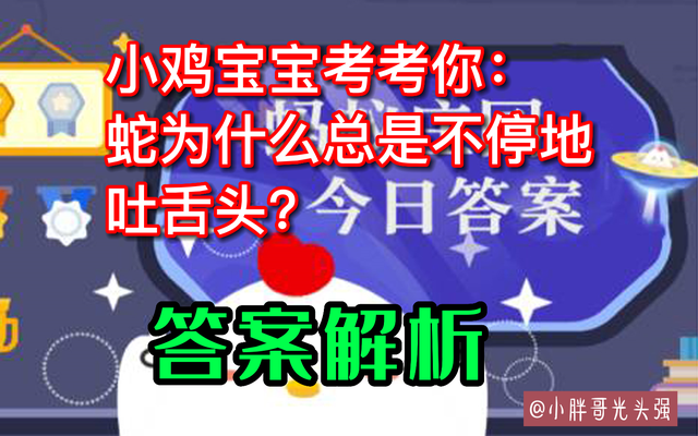 为什么蛇的舌头会分叉，蟒蛇舌头分叉吗（蛇为什么总是不停地吐舌头）