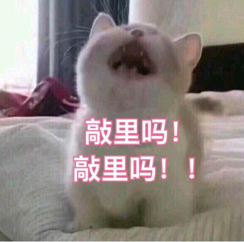 搏击俱乐部qvod，搏击俱乐部qvod纹身讲究（关于《搏击俱乐部》国内删减版）