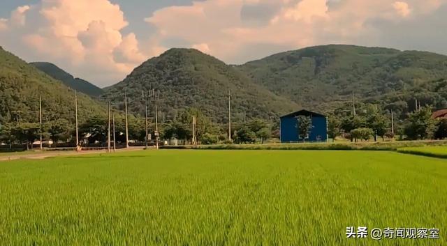 苟杳吕洞宾的故事，苟杳吕洞宾的故事读书心得（40年前的韩国第一纵欲杀手）