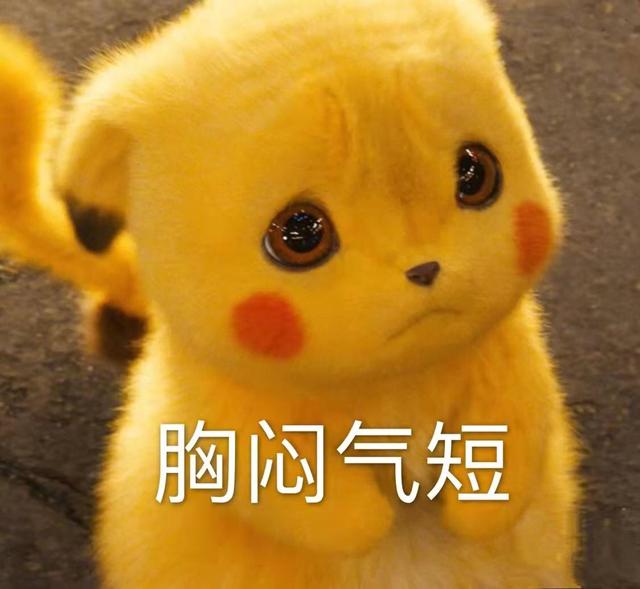 遛狗的经典句子，抖音最火圣诞节经典句子（聊天常用的沙雕歇后语）