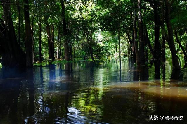 世界上最恐怖的鱼类是什么，世界上最恐怖的鱼是什么鱼,排行榜（十大恐怖生物告诉你）
