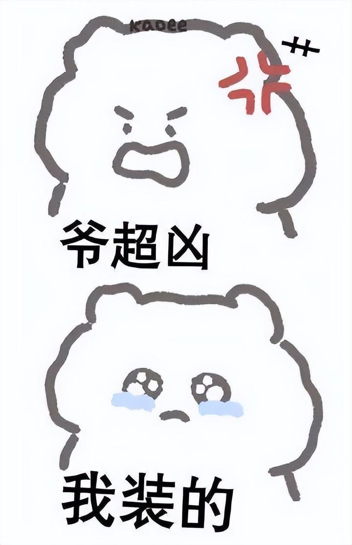 好看的表情包(10000种表情包图片大全)