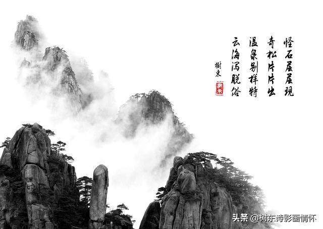 松树有什么象征与含义，松树象征的意义是什么（松在中华文化中象征着一种精神）