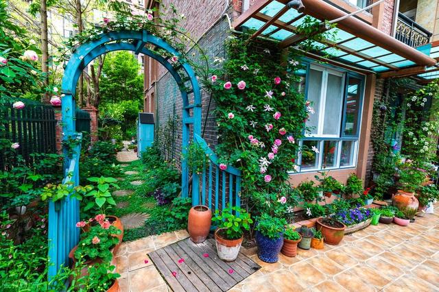 冬天种什么花好养活，冬天什么花好养活北方室内（冻不死的花草清单）