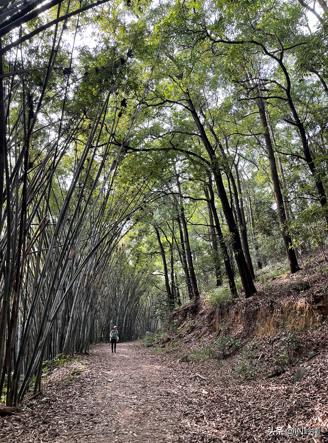 广州徒步登山经典路线，​黄埔秘境在这里