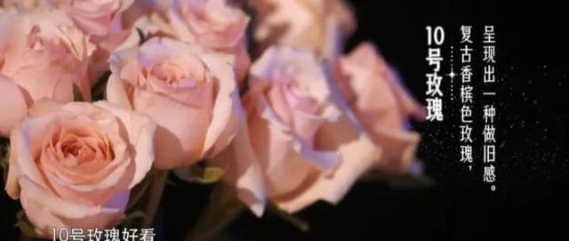 19支玫瑰是什么意思，19支玫瑰代表什么（19朵玫瑰花表示什么）