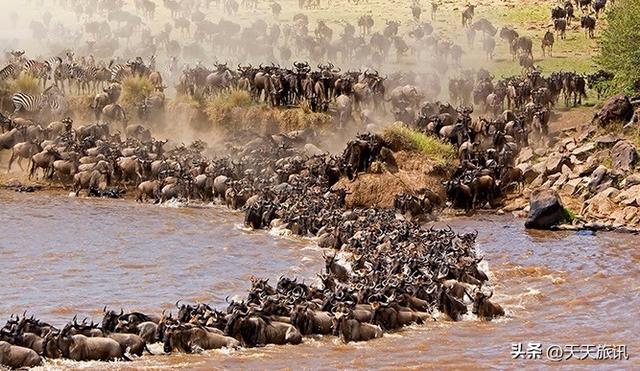 东非动物大迁徙，东非动物大迁徙的路线图（“生命的长征”东非野生动物大迁徙）