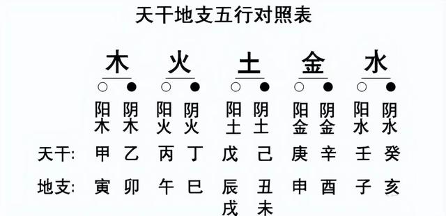 金兔年是哪一年，哪一年属兔的是金兔（2023年是“黑兔年”、“水兔年”、“金兔年”）