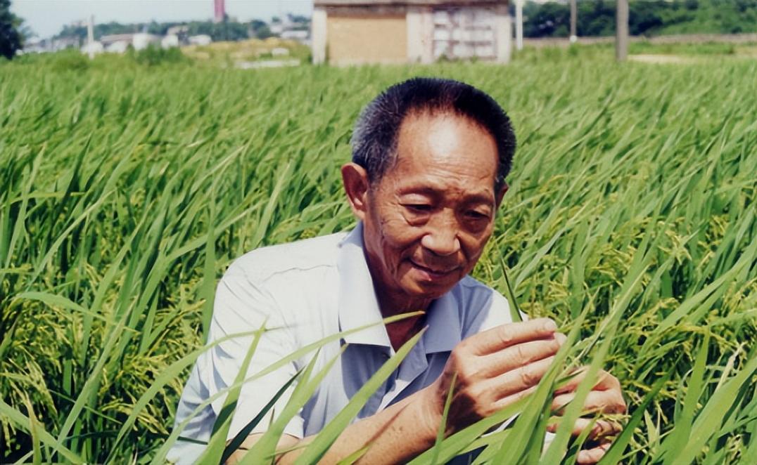 中国储备粮管理总公司（中国粮仓硬刚世界四大粮商）