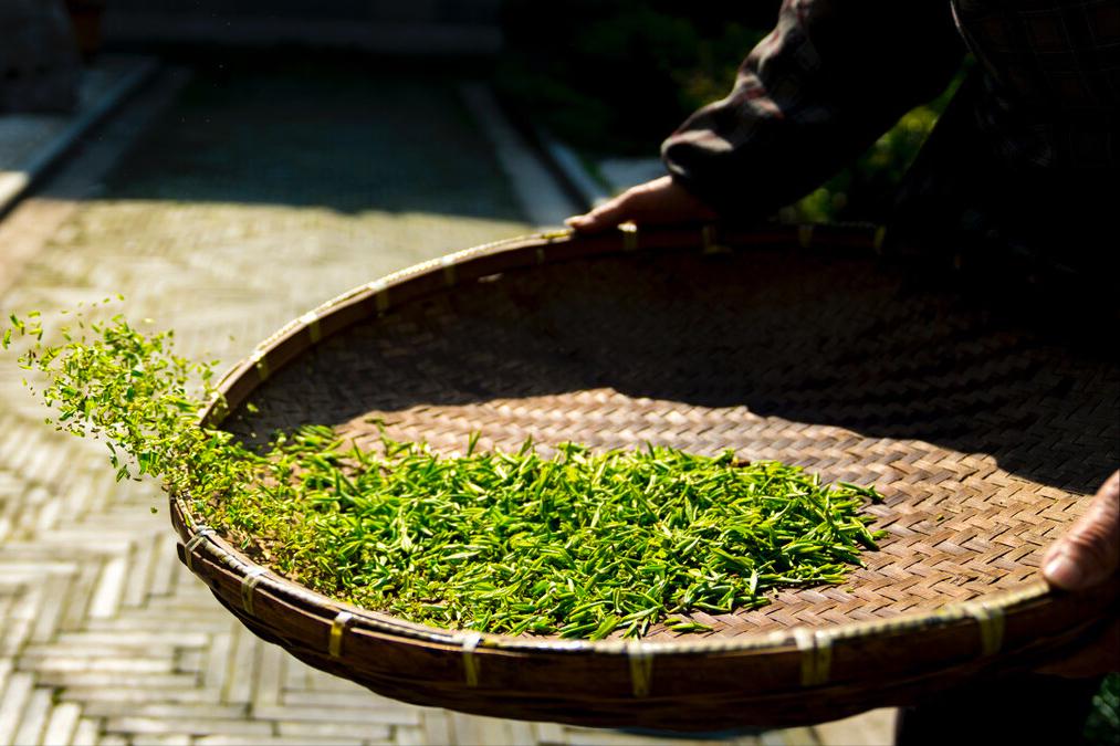 十大茶叶排行榜，中国十大名茶排名及产地