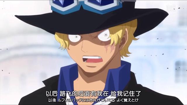 海贼王人物，海贼王人物图鉴（12位未公布却知晓有“霸王色”的强者）