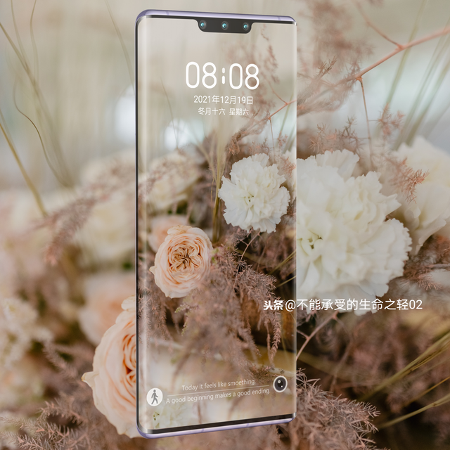 风景静物背景图|谢谢光临.，静物背景图片（花卉摄影壁纸图文解说）