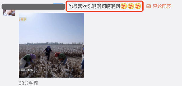 新疆摘棉花是什么梗，张智霖戴头巾摘棉花被阿姨误认为20多岁