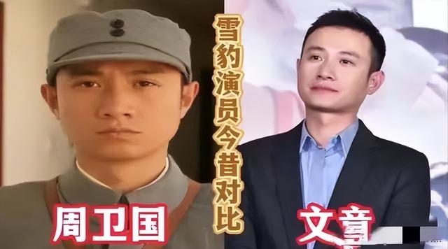 雪豹萧雅扮演者，雪豹萧雅扮演者是谁（12年后再看《雪豹》）