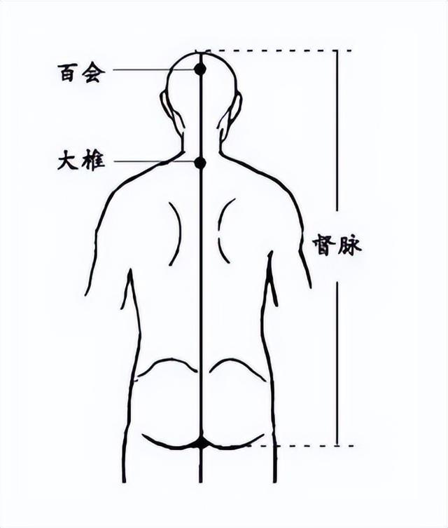 简单的捶背方法图解图片