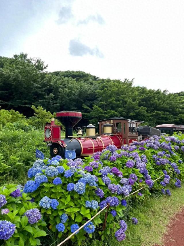唯一一个以火车旅行为主题的大型生态公园，韩国济州岛的遛娃圣地