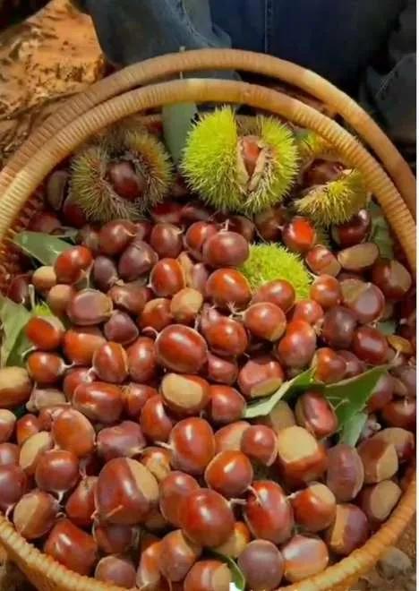 灵魂相似的人一旦相逢，灵魂相似的人一旦相逢是知心朋友（总有一天会在路上相逢）