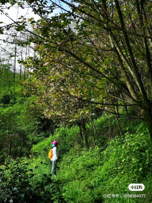 距离成都2小时小众的露营基地，成都近郊9个小众徒步露营耍水地