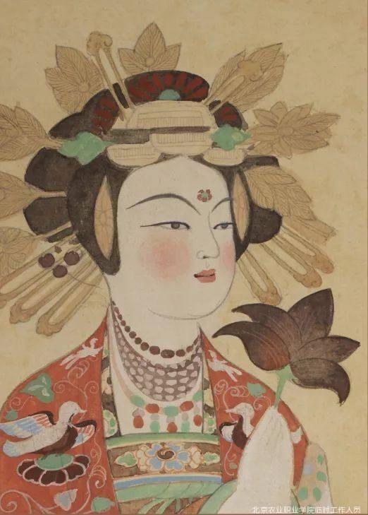 的卢马的读音，《三国演义》电视剧“的卢马”（汉字探源：的字的来历及其本义）