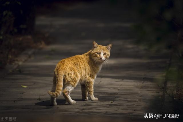 街头摄影的基本知识，拍出有情感有故事的街头摄影照片