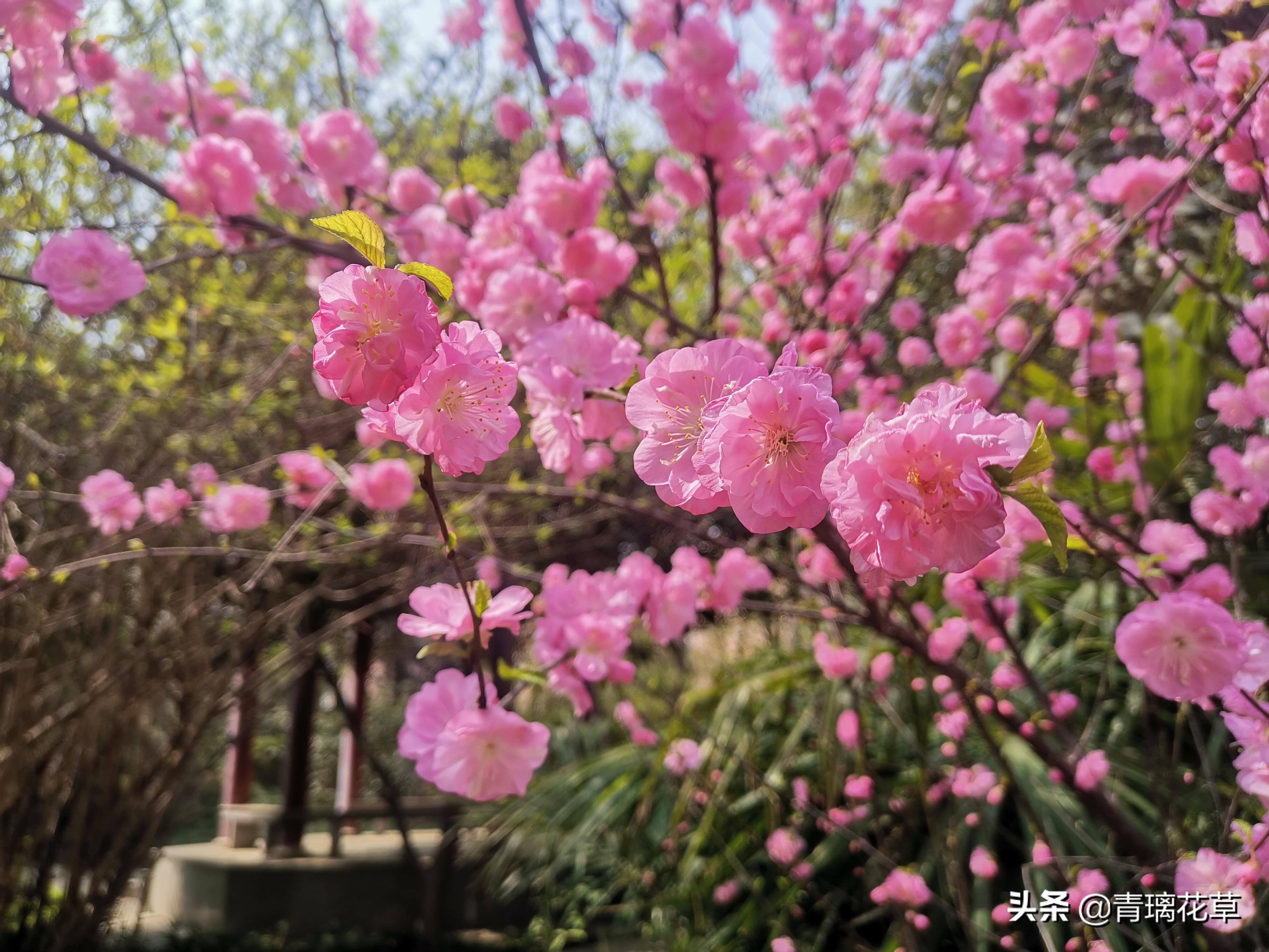 什么风水能够让感情事业更顺利 稳固感情风水