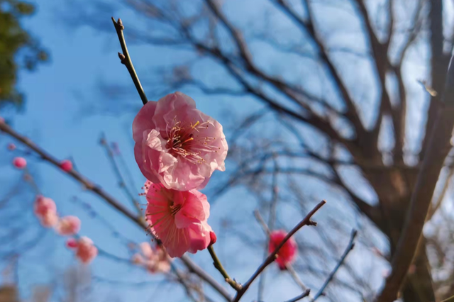 有城府的人的表现，城府深的人表现（有城府的领导都有这5点表现）
