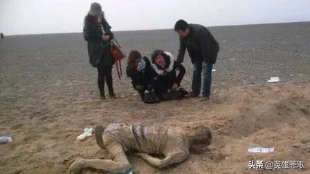 余纯顺重走彭加木之路，余纯顺（徒步探险家余纯顺遇难罗布泊后）