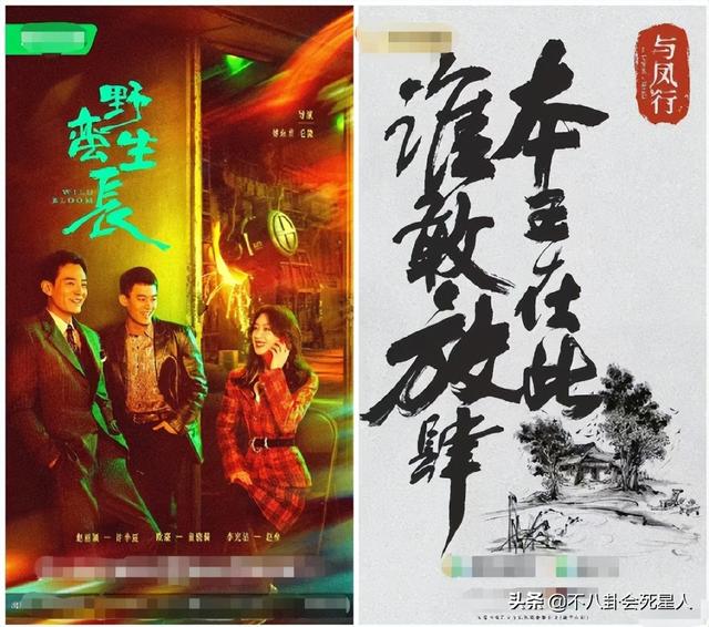 谭松韵个人资料简介，谭松韵个人资料简介及老公（糊了、凉了、丑了）